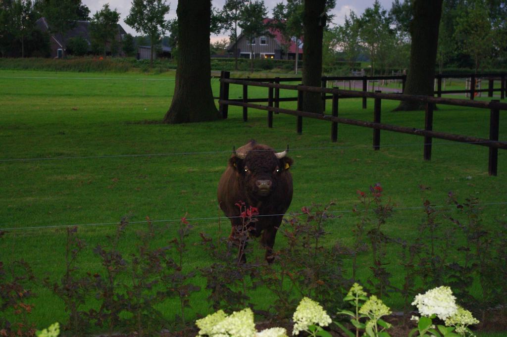 Bed & Breakfast De Langenlee